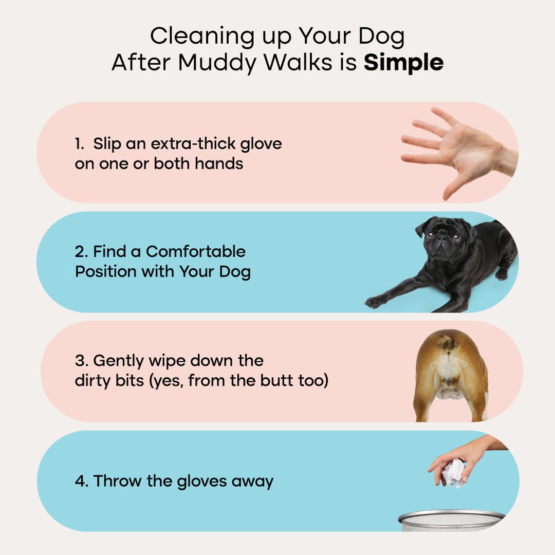 Uproot QuickClean™ Gloves Pro - Image 5