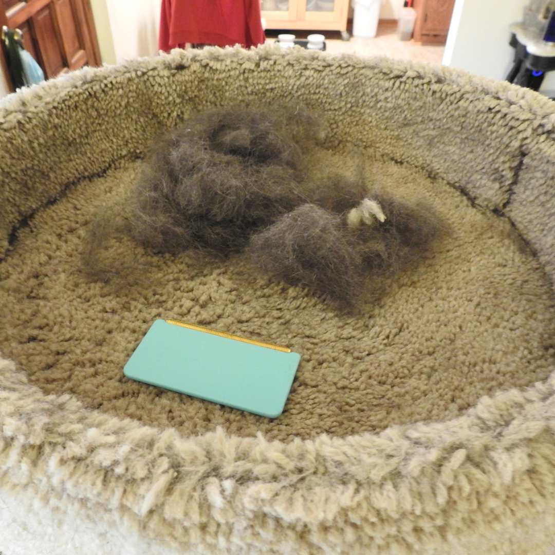 Effective Fur-Free Starter Kit- Uproot Mini. Pro & Xtra - Image 4